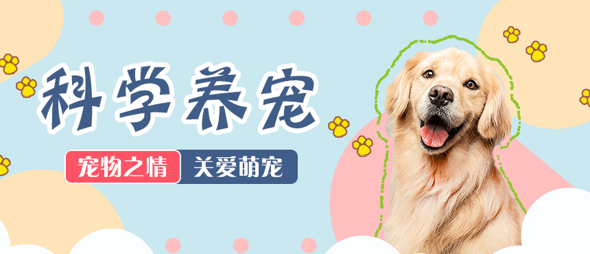 生產(chǎn)鋁塑板廠家,鋁塑板生產(chǎn)廠家,鋁塑板廠家